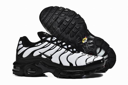 Cheap Nike Air Max Plus Black White TN Men's Shoes-325